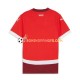 Maillot Domicile Suisse Euro 2024 Rouge Manches Courtes Homme