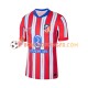 Maillot Domicile Atlético Madrid 2024-2025 Manches Courtes Homme