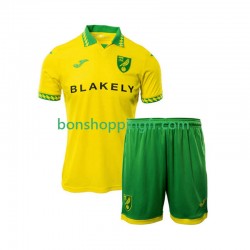 Maillot Domicile Norwich City 2025-2026 Manches Courtes Jeune Enfant(+shorts)