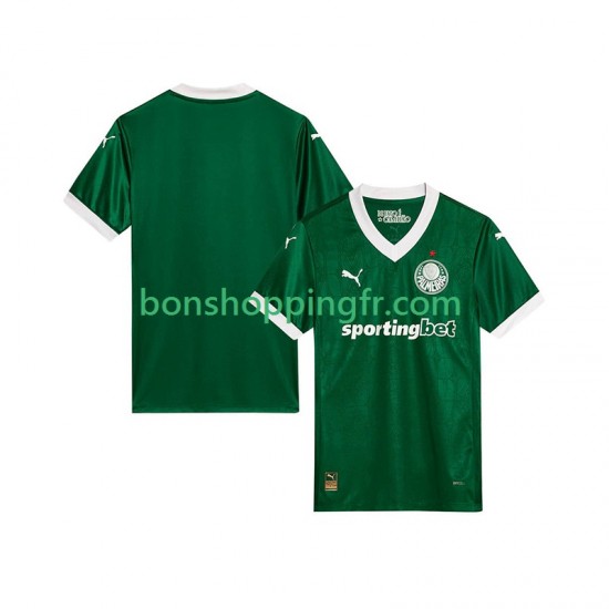 Maillot Domicile Palmeiras 2025-2026 Manches Courtes Homme Maillot Domicile Palmeiras 2025-2026 Manches Courtes Homme