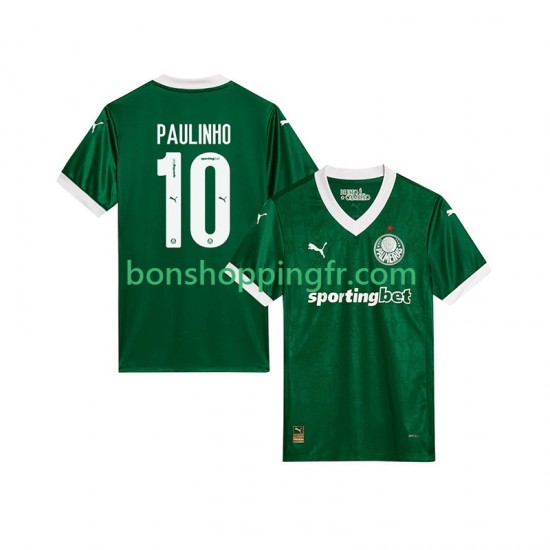 Maillot Domicile Palmeiras Paulinho 10 2025-2026 Manches Courtes Homme Maillot Domicile Palmeiras Paulinho 10 2025-2026 Manches Courtes Homme