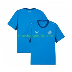 Maillot Domicile Islande 2026 Manches Courtes Homme