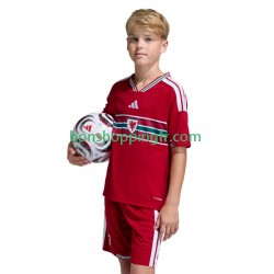 Maillot Domicile Pays de Galles 2026 Manches Courtes Jeune Enfant(+shorts)