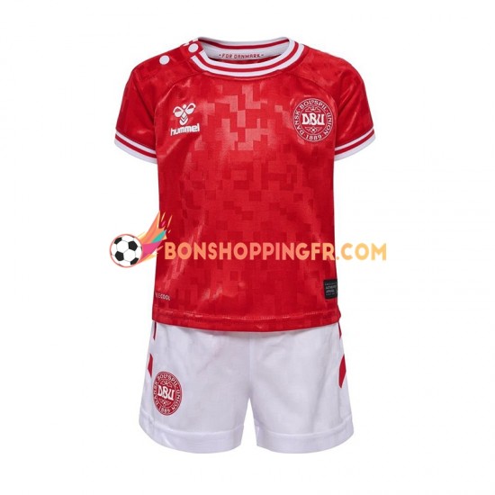 Maillot Domicile Danemark Euro 2024 Rouge Manches Courtes Jeune Enfant(+shorts)