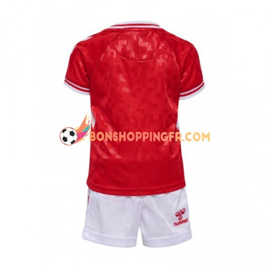 Maillot Domicile Danemark Euro 2024 Rouge Manches Courtes Jeune Enfant(+shorts)