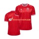 Maillot Domicile Danemark Euro 2024 Rouge Manches Courtes Homme