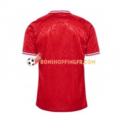 Maillot Domicile Danemark Euro 2024 Rouge Manches Courtes Homme