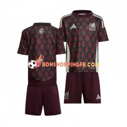 Maillot Domicile Mexique Copa America 2024 Manches Courtes Jeune Enfant(+shorts)