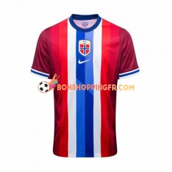 Maillot Domicile Norvège 2024 Manches Courtes Homme