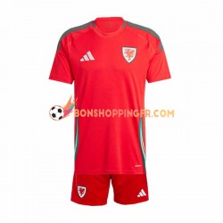 Maillot Domicile Pays de Galles 2024 Rouge Manches Courtes Jeune Enfant(+shorts)