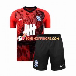 Maillot Extérieur Birmingham City 2023-2024 Manches Courtes Jeune Enfant(+shorts)
