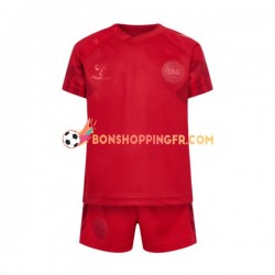 Maillot Domicile Danemark Coupe du Monde 2022 Manches Courtes Jeune Enfant(+shorts)