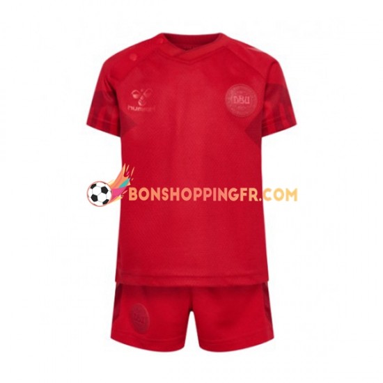 Maillot Domicile Danemark Coupe du Monde 2022 Manches Courtes Jeune Enfant(+shorts)