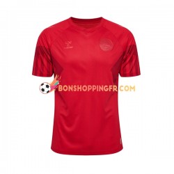 Maillot Domicile Danemark Coupe du Monde 2022 Manches Courtes Homme