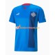 Maillot Domicile Islande 2022 Manches Courtes Homme