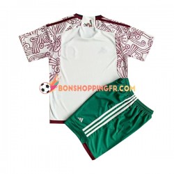 Maillot Extérieur Mexique Coupe du Monde 2022 Manches Courtes Jeune Enfant(+shorts)