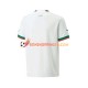 Maillot Extérieur Maroc Coupe du Monde 2022 Manches Courtes Homme