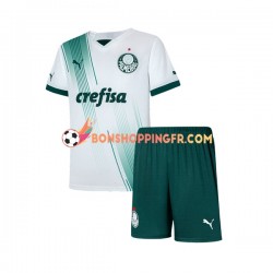 Maillot Extérieur Palmeiras 2023-2024 Manches Courtes Jeune Enfant(+shorts)