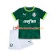 Maillot Domicile Palmeiras 2023-2024 Manches Courtes Jeune Enfant(+shorts)