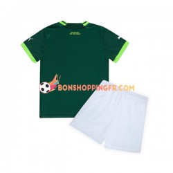 Maillot Domicile Palmeiras 2023-2024 Manches Courtes Jeune Enfant(+shorts)