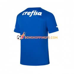 Maillot Domicile Palmeiras Gardien 2023-2024 Manches Courtes Homme