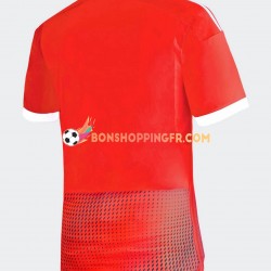 Maillot Extérieur Pérou 2023 Manches Courtes Homme