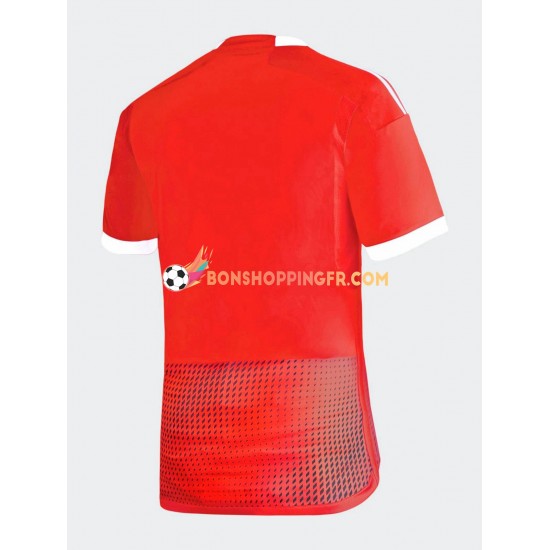 Maillot Extérieur Pérou 2023 Manches Courtes Homme