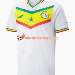 Maillot Domicile Sénégal Coupe du Monde 2022 Manches Courtes Homme