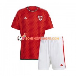 Maillot Domicile Pays de Galles Coupe du Monde 2022 Manches Courtes Jeune Enfant(+shorts)