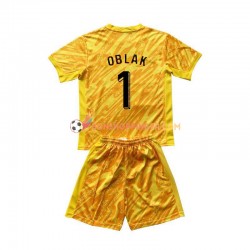 Maillot Domicile Slovénie Gardien Jan Oblak 1 Euro 2024 Jaune Manches Courtes Jeune Enfant(+shorts)