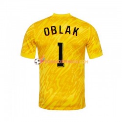 Maillot Domicile Slovénie Gardien Jan Oblak 1 Euro 2024 Jaune Manches Courtes Homme
