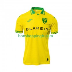 Maillot Domicile Norwich City 2025-2026 Manches Courtes Homme