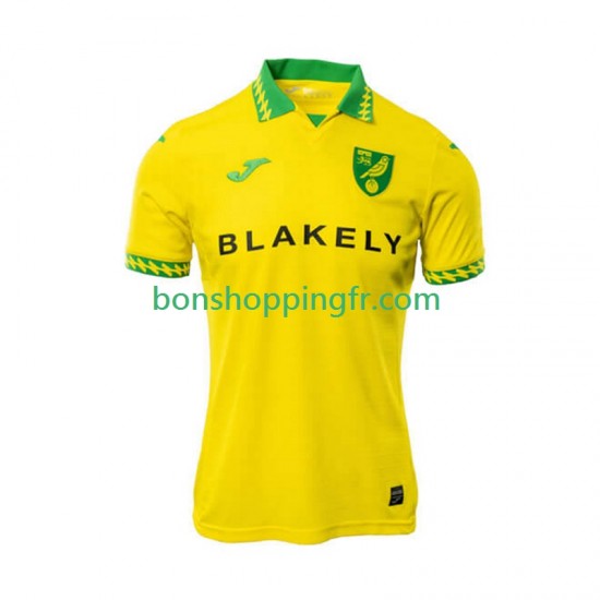 Maillot Domicile Norwich City 2025-2026 Manches Courtes Homme Maillot Domicile Norwich City 2025-2026 Manches Courtes Homme