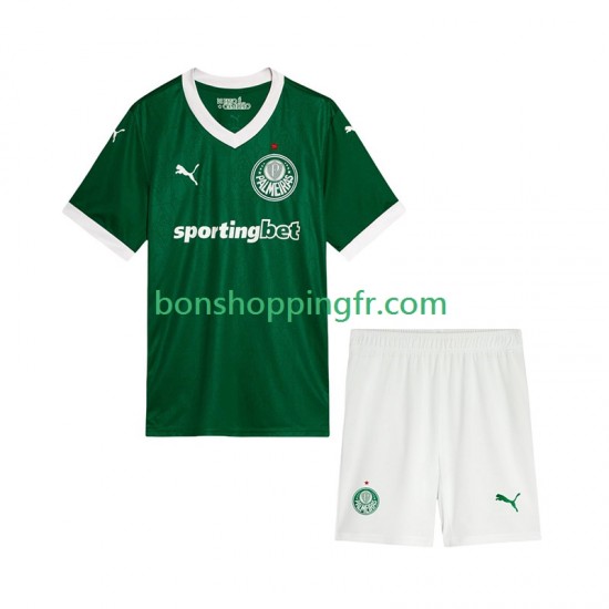 Maillot Domicile Palmeiras 2025-2026 Manches Courtes Jeune Enfant(+shorts)
