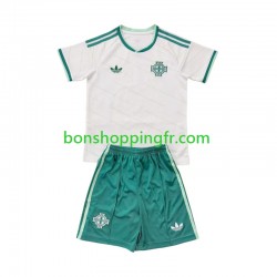 Maillot Extérieur Irlande Du Nord 2026 Manches Courtes Jeune Enfant(+shorts)