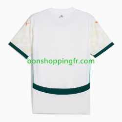Maillot Extérieur Côte d'Ivoire 2025 Manches Courtes Homme