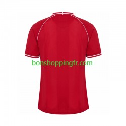 Maillot Domicile Danemark 2026 Manches Courtes Homme