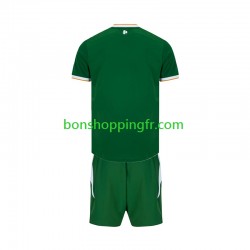 Maillot Domicile Irlande 2026 Manches Courtes Jeune Enfant(+shorts)