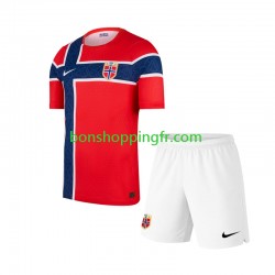 Maillot Domicile Norvège World Cup 2026 Manches Courtes Jeune Enfant(+shorts)