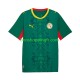 Maillot Extérieur Sénégal 2026 2027 Manches Courtes Homme