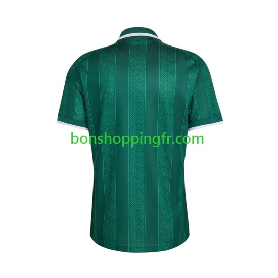 Maillot Extérieur Afrique Du Sud World Cup 2026 Manches Courtes Homme