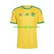 Maillot Domicile Afrique Du Sud World Cup 2026 Manches Courtes Homme