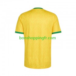 Maillot Domicile Afrique Du Sud World Cup 2026 Manches Courtes Homme