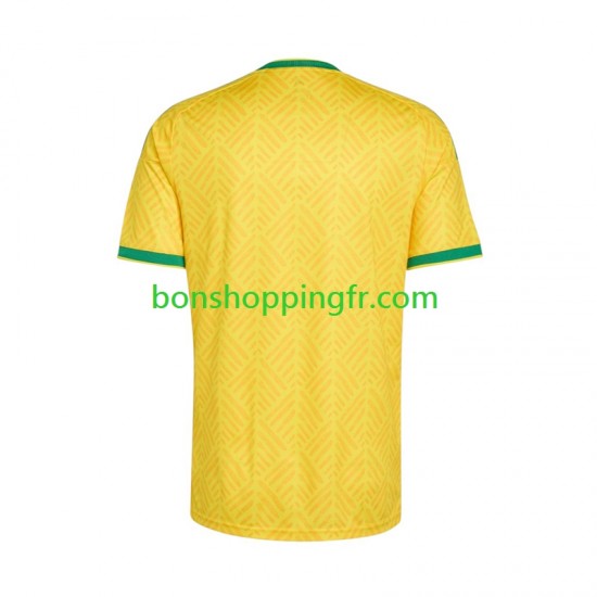 Maillot Domicile Afrique Du Sud World Cup 2026 Manches Courtes Homme