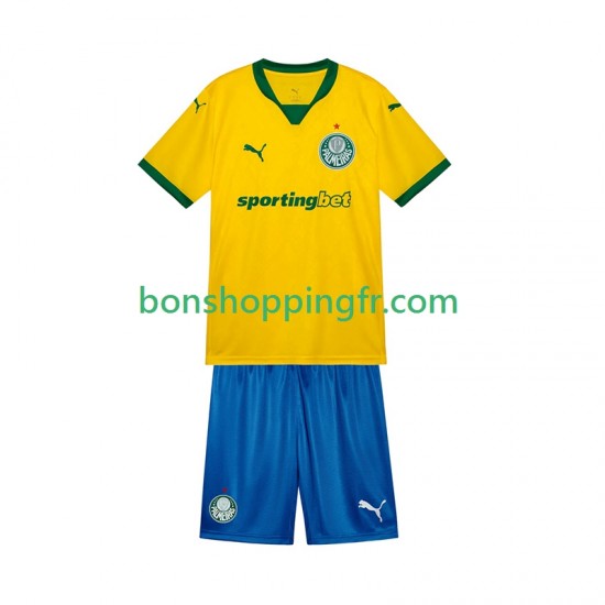 Maillot 3ème Palmeiras 2025-2026 Manches Courtes Jeune Enfant(+shorts)