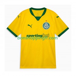 Maillot 3ème Palmeiras 2025-2026 Manches Courtes Homme